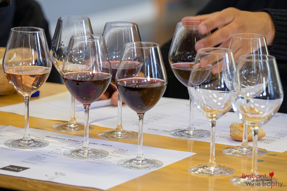 2019 05 04 Brabant Wine Trophy-87