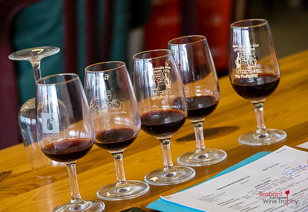 2022 03 26 Brabant Wine Trophy-107