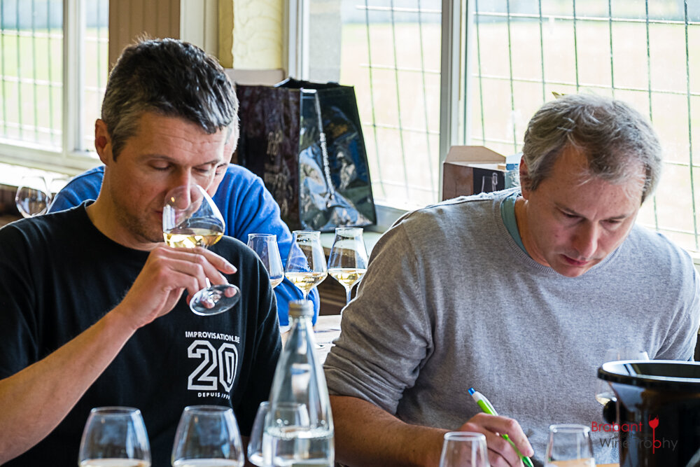 2022 03 26 Brabant Wine Trophy-67