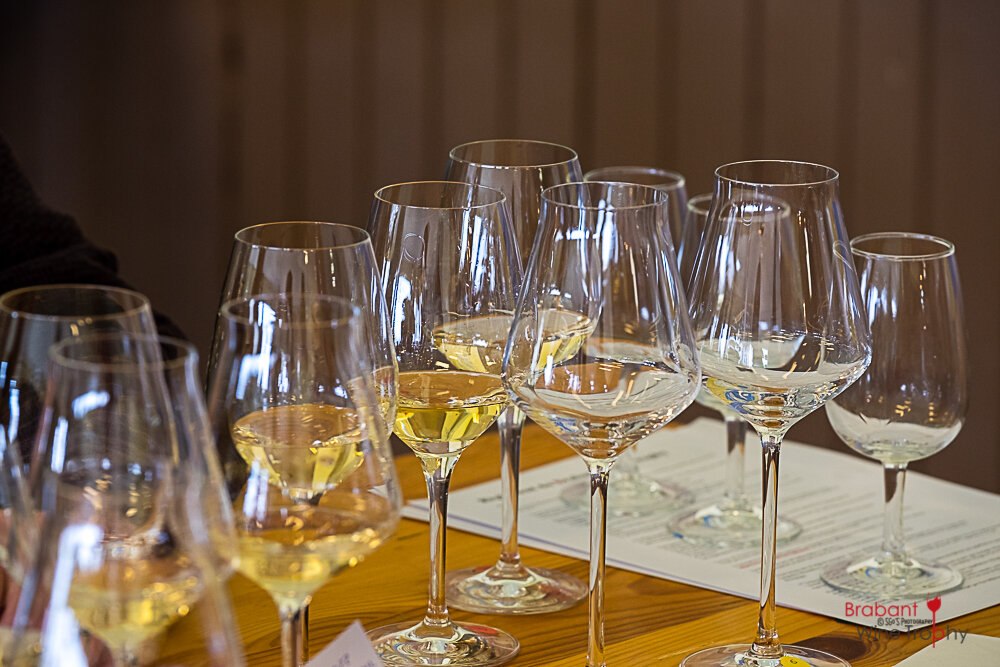 2022 03 26 Brabant Wine Trophy-75