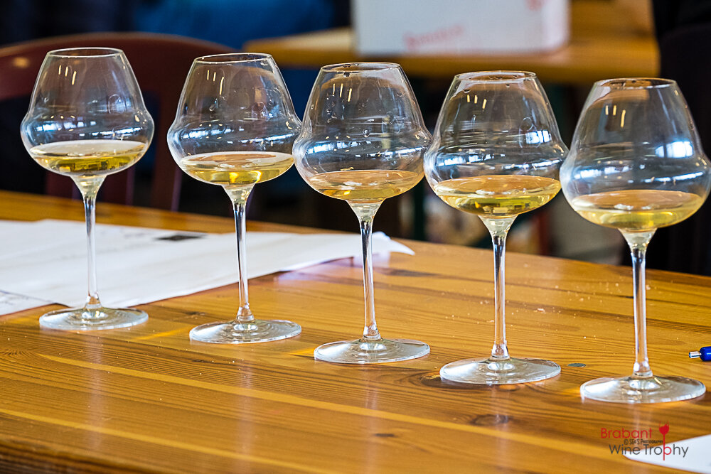 2022 03 26 Brabant Wine Trophy-79
