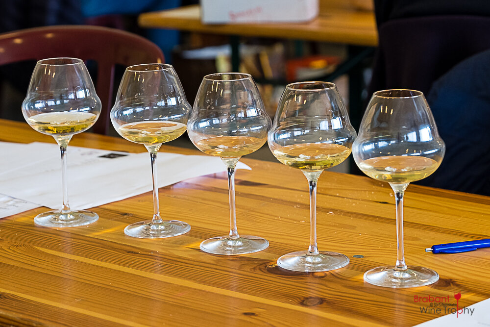 2022 03 26 Brabant Wine Trophy-80